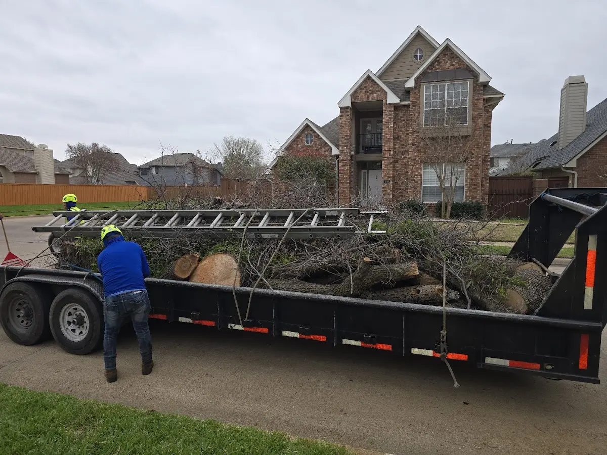 Expert Tree Removal with proper safety equipment in Alna